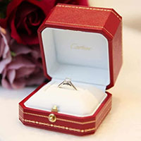 �J���e�B�G�i���V�������j�̊��𔃂�����