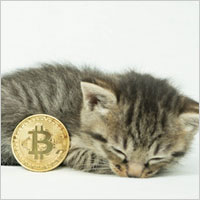 �R�C���x�[�X�̊��𔃂�����